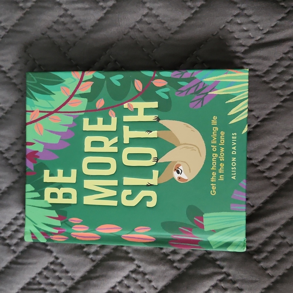 Be More Sloth Book